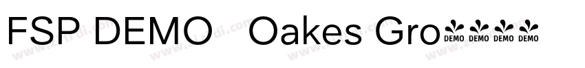 FSP DEMO   Oakes Gro字体转换